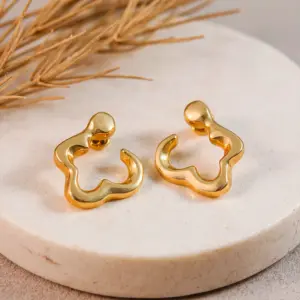 Brinco Liso Orgânico Argola